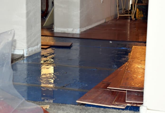 From Flood to Fix-It: Your Homeowner's Guide to Water Damage Recovery