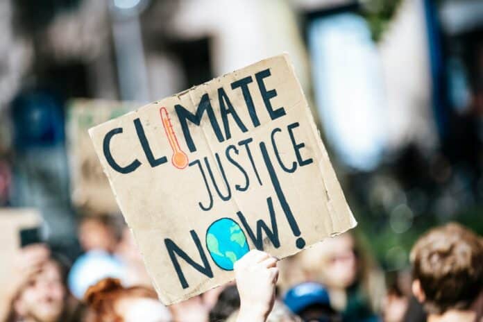 The Role of Class Action Lawsuits in Environmental Protection