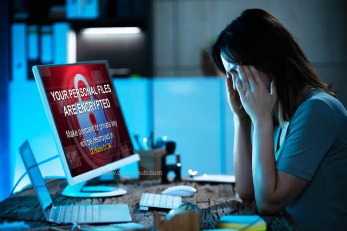 How Privacy Law Attorneys Help Businesses Avoid Costly Data Breaches