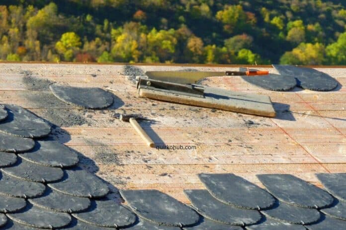 How to Choose the Right Commercial Roofer for Your Business Needs
