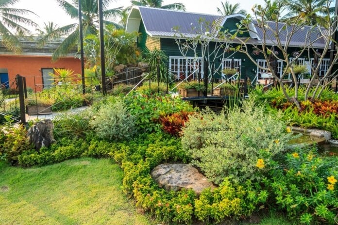 4 Reasons Why a Vertical Backyard Garden is Best for Your Home