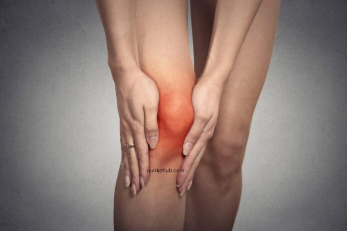 Chiropractor vs Physiotherapist: Find Out Which One Is Right for You?