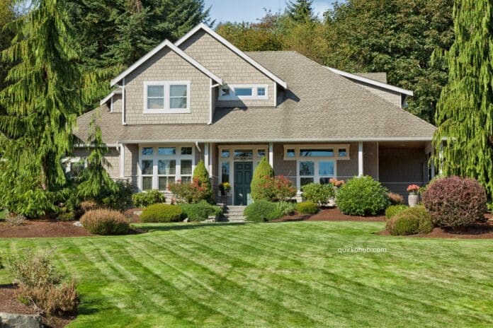 Achieve a Lush Lawn: Expert Lawn Care Saskatoon for a Green, Healthy Yard