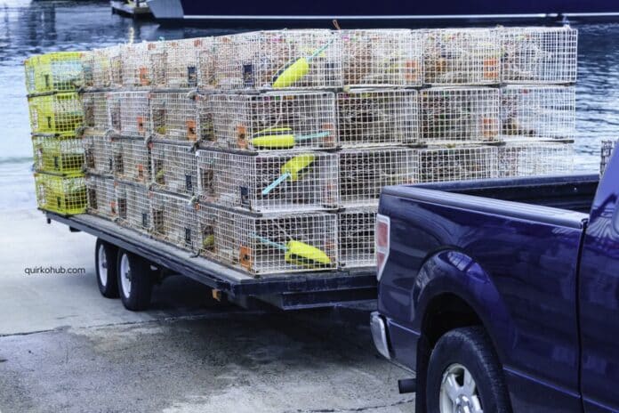 The Importance of Tongue Weight: Ensuring Trailer Stability