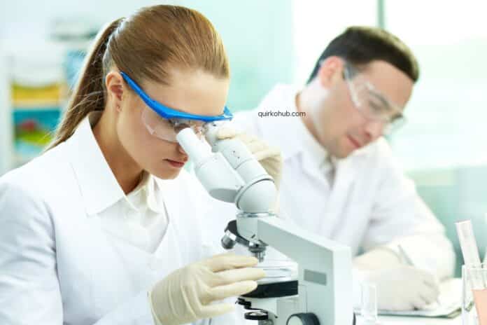 Optimising the Management of Clinical Studies: Strategies for Success