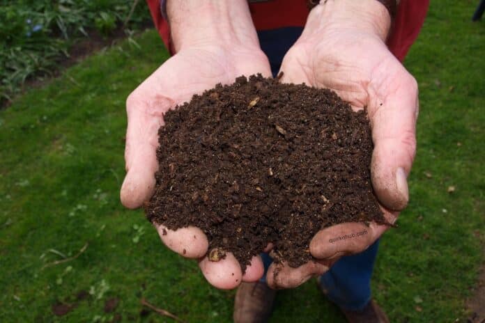 Unearthing the Secrets of Black Gold: A Comprehensive Guide to Composting at Home