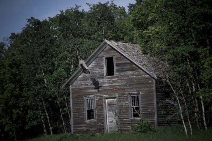 The Ultimate Guide to Selling Your Old Wooden House: Tips and Tricks