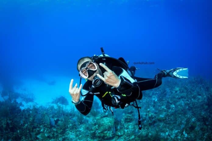 Diving Deep: Understanding the Subaquatic World