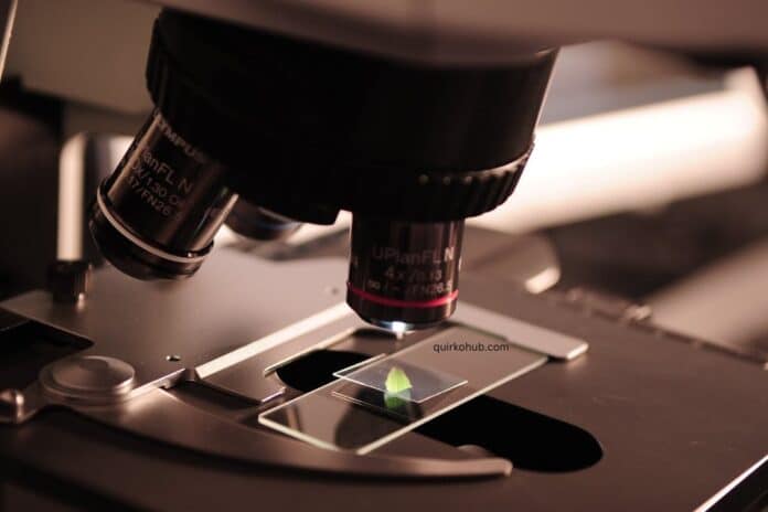 Understanding Advancements in Microplate Detection Technology for Modern Labs