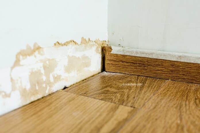 Protecting Your Home from Water Damage: Essential Tips and Resources