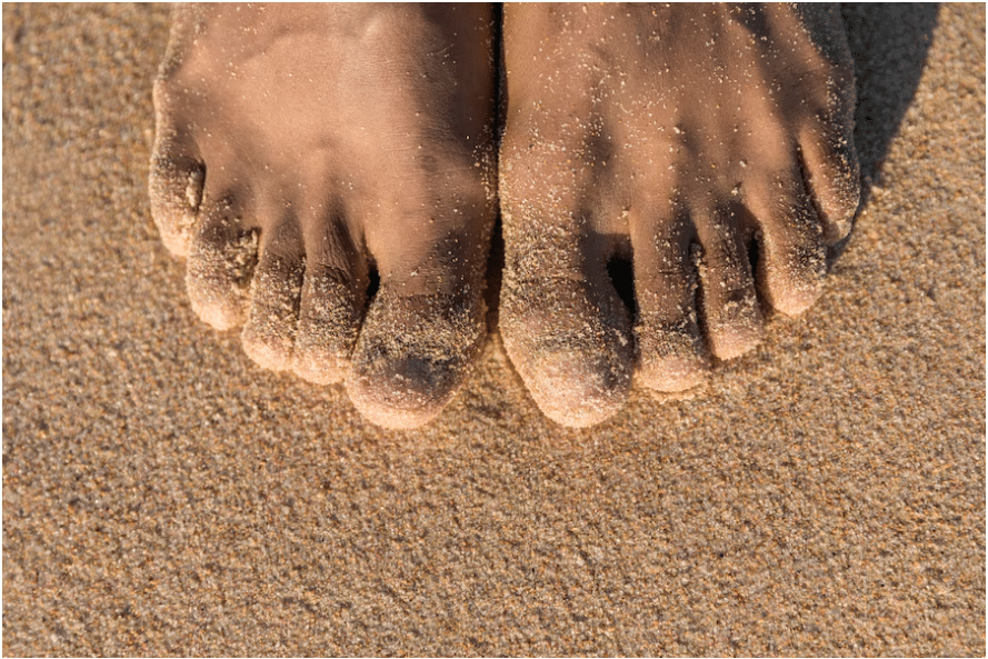 Coastal vs. Inland: Location Matters