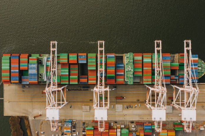 Essential Fleet Management Insights Every Business Should Know