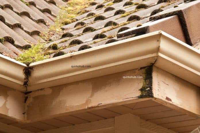 Seamless Gutters: Perfect Fit for Your Home's Drainage Needs
