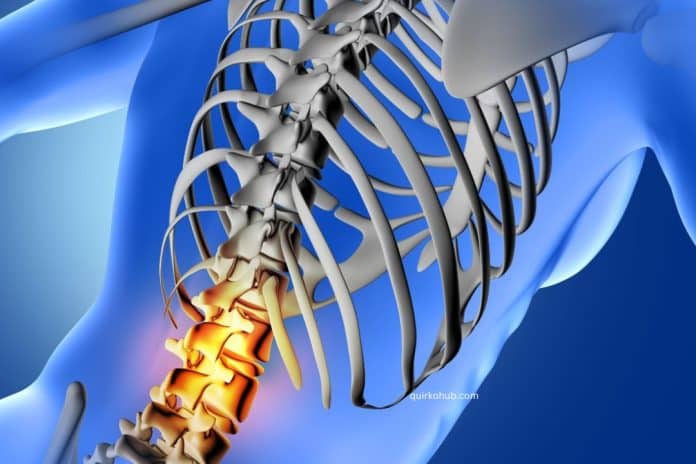 The Ways How a Spinal Cord Injury Wrecks a Victim's Life