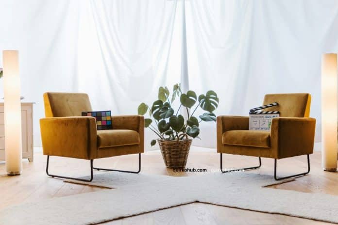 Key Factors to Consider Before Investing in a Therapy Business Opportunity