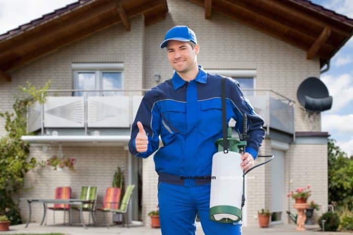 Signs You Might Need a Rodent Exterminator for Your Property