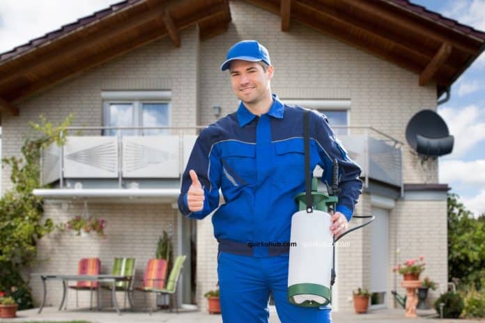 Tailoring Pest Control Solutions for Different Warehouse Types