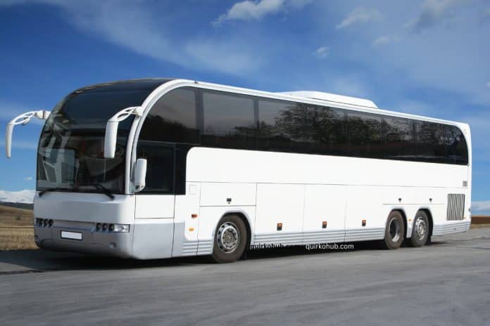 Top Reasons to Book a Limo Bus for Corporate Group Travel
