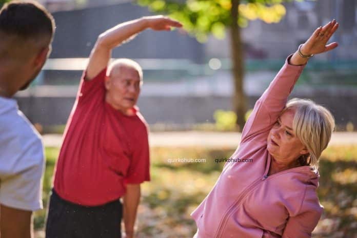 Everyday Wellness Routines for Lasting Vitality